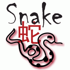 Snake Year